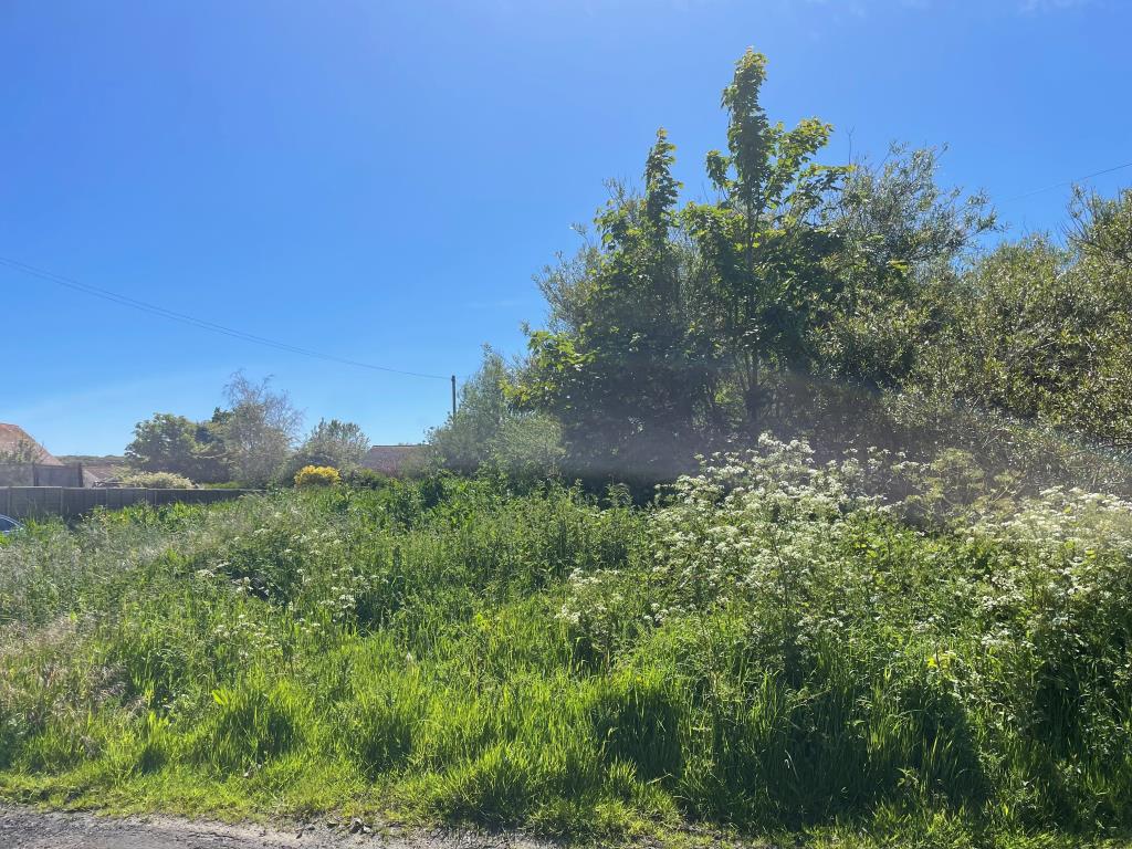 Lot: 148 - 0.16 ACRES OF LAND WITH POTENTIAL - Land Adjacent to Falcon Lodge